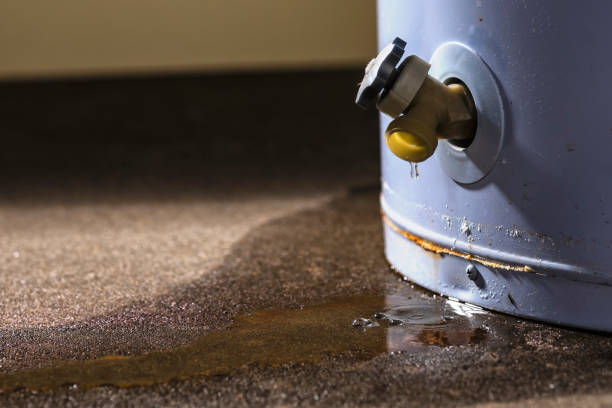 Best Carpet water damage restoration  in North Shore, CA