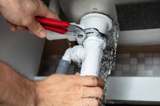 Best Water damage contractors near me  in North Shore, CA