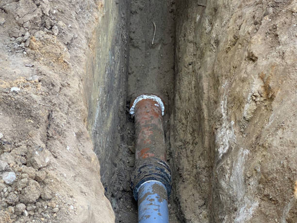 Best Flood damage cleanup  in North Shore, CA