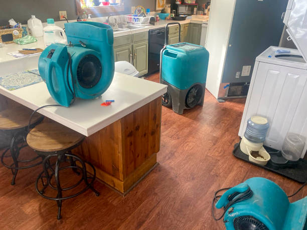 Best Water damage mitigation services  in North Shore, CA