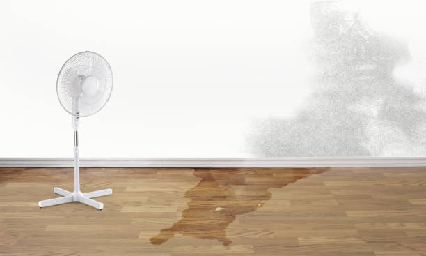 Best Local water damage restoration  in North Shore, CA