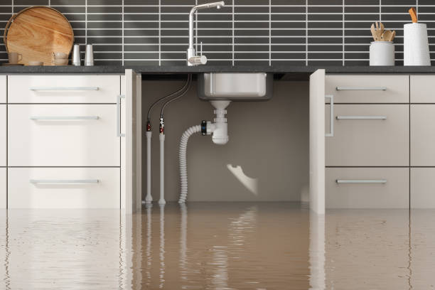 Best Ceiling water damage repair  in North Shore, CA