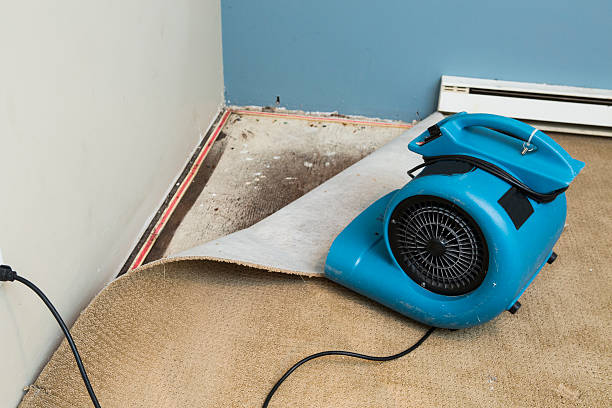 Carpet water damage restoration in North Shore, CA